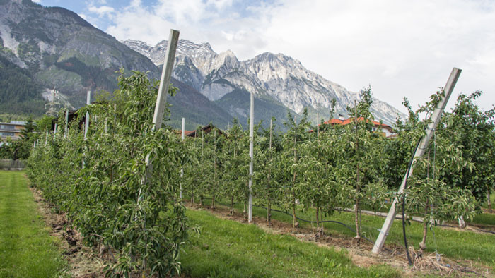 tiroler-schnapsroute-obstfeld