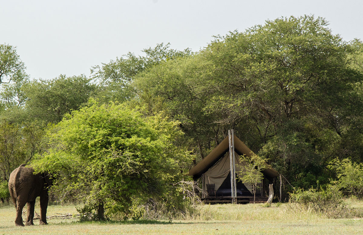 Südafrika Reisetipps Walking Safari zu Fuß im Krüger Nationalpark