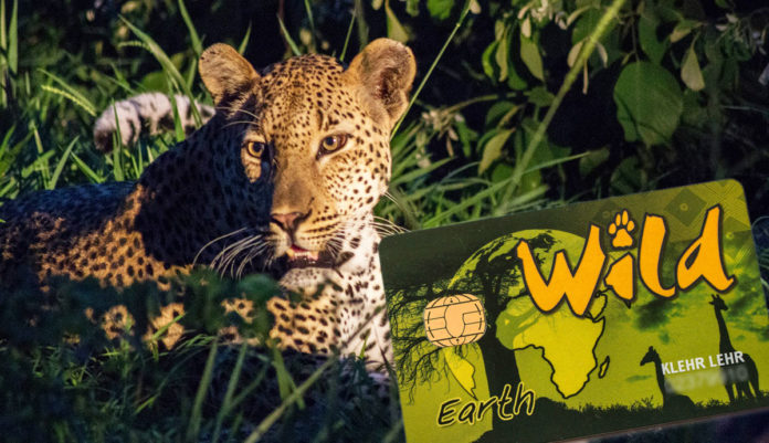 wildcard-lohntsich-suedafrika Wildcard Südafrika kaufen?l