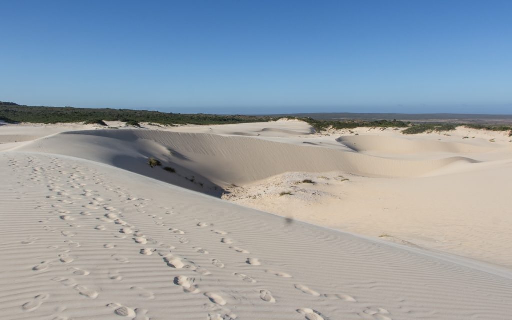 Geheimtipp Sanddünen West Coast Nationalpark in Südafrika