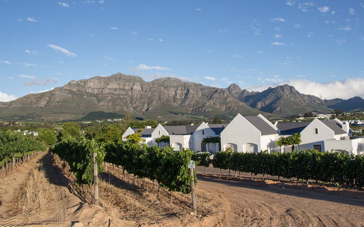 Winelands Kleine Zalze Stellenbosch