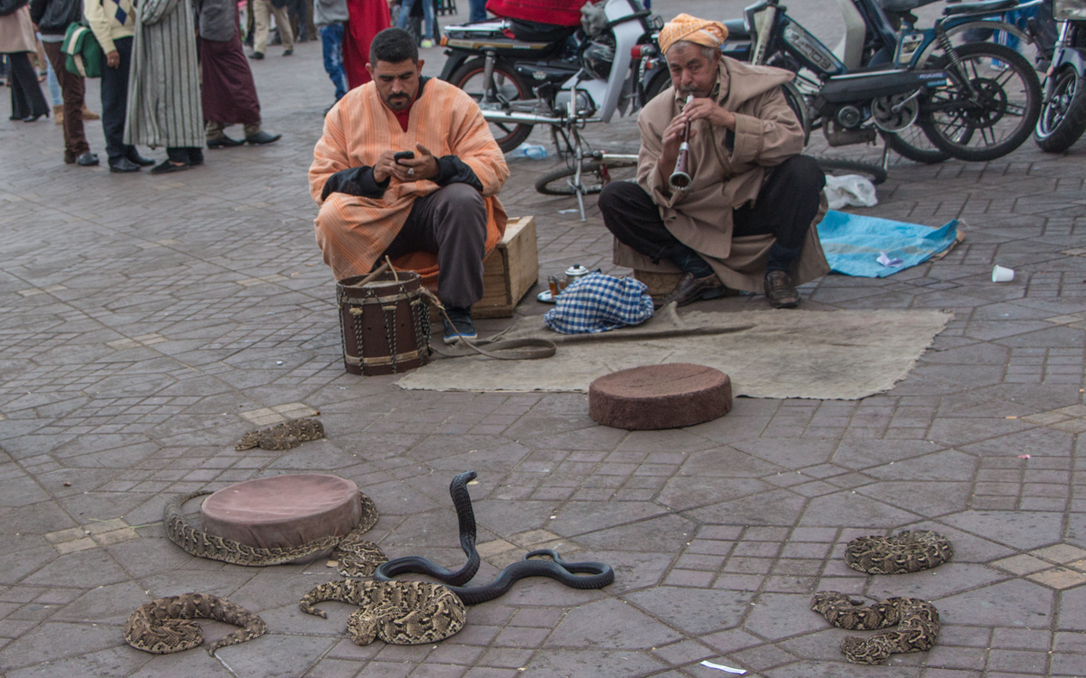 Djemaa el-Fna, das Herz von Marrakesch und Nordafrikas bekanntester Platz 52 Djemma el Fna Schlangenbeschwörer