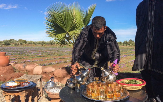 Beste Reisezeit Marrakesch Beste Reisezeit Marrakesch