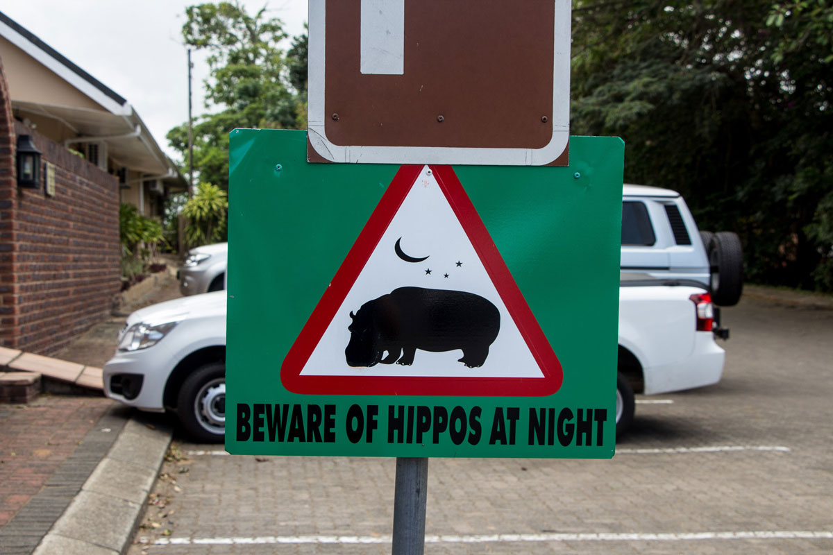 Beware of Hippos at night