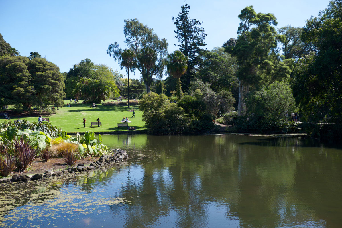 Melbourne Sehenswürdigkeiten Botanischer Garten