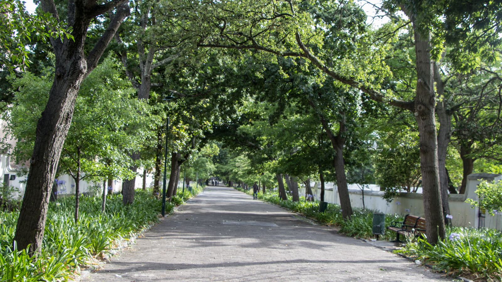 Kapstadt Sehenswürdigkeiten Comapys Gardens Kapstadt Fahrrad