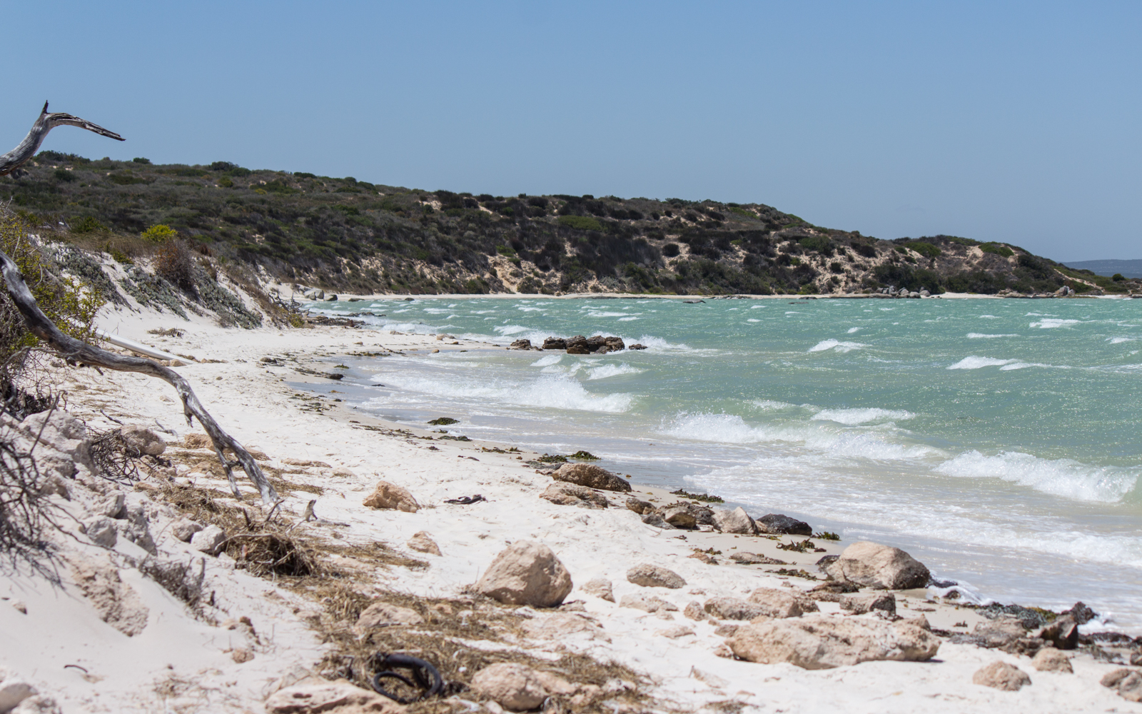 west-coast-np-natur-1