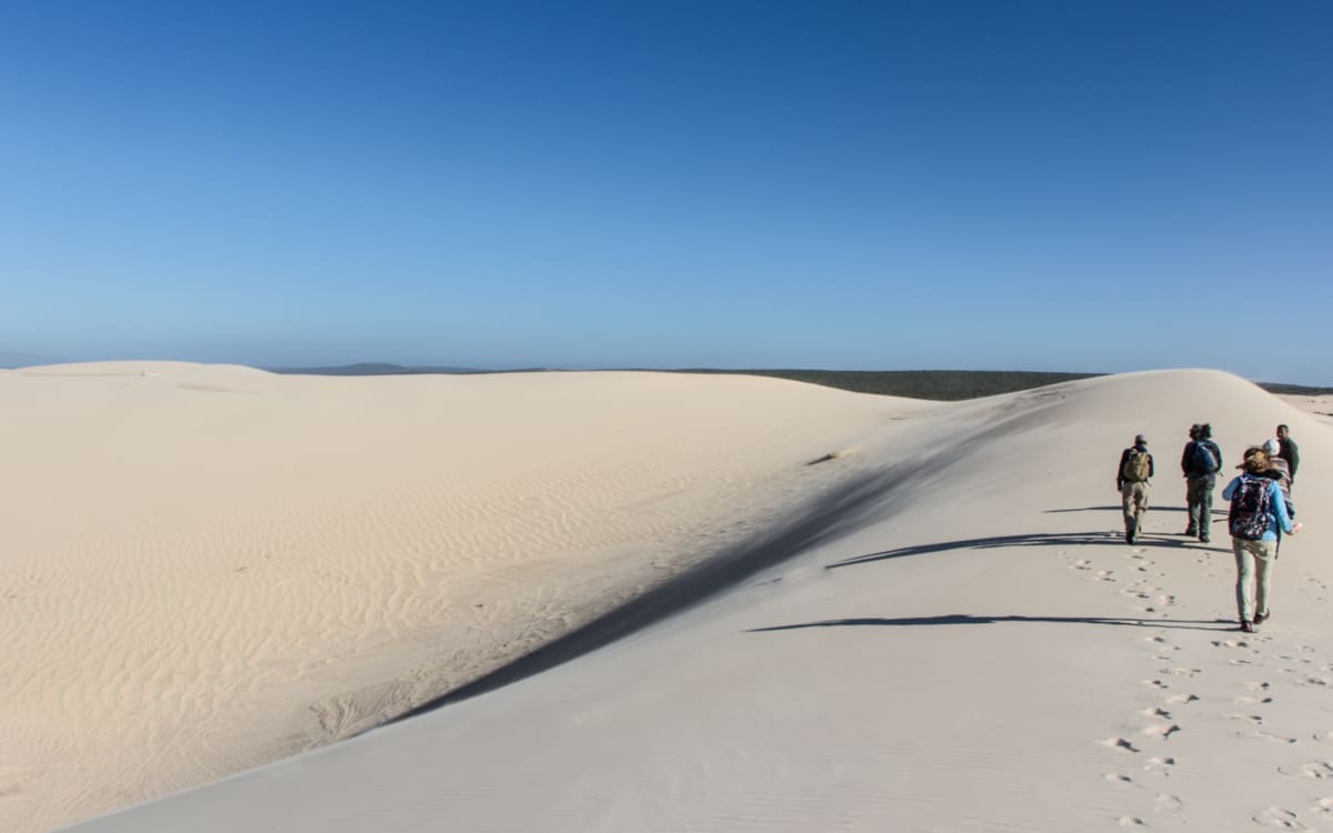 Sonnenaufgang im West Coast Nationalpark in Südafrika