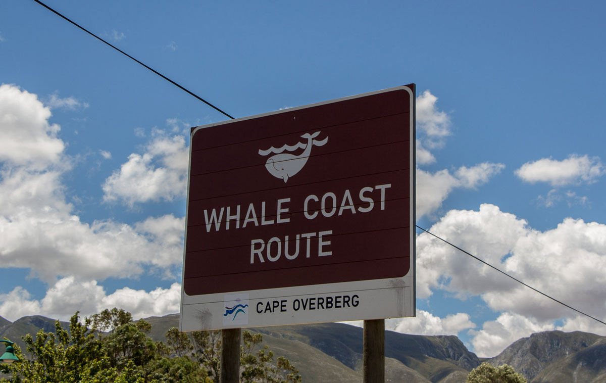 hermanus-whale-coast-road" class="lazy lazy-hidden wp-image-13146" srcset="https://viel-unterwegs.de/wp-content/uploads/2015/10/hermanus-whale-coast-road.jpg 1200w, https://viel-unterwegs.de/wp-content/uploads/2015/10/hermanus-whale-coast-road-500x316.jpg 500w, https://viel-unterwegs.de/wp-content/uploads/2015/10/hermanus-whale-coast-road-768x485.jpg 768w, https://viel-unterwegs.de/wp-content/uploads/2015/10/hermanus-whale-coast-road-1024x647.jpg 1024w" data-lazy-sizes="(max-width: 1200px) 100vw, 1200px
