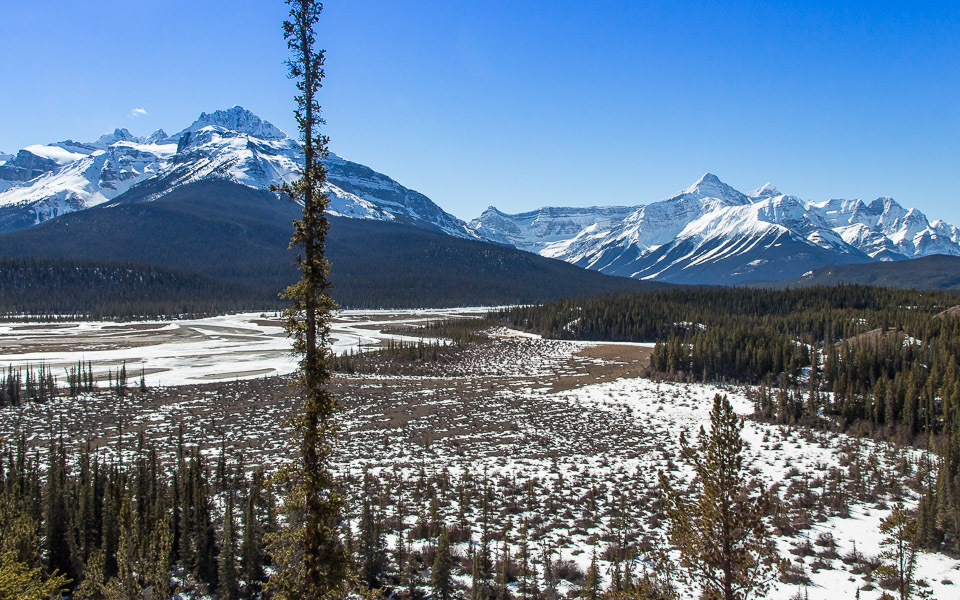 Howse Pass am Icefields Parkway Kanada