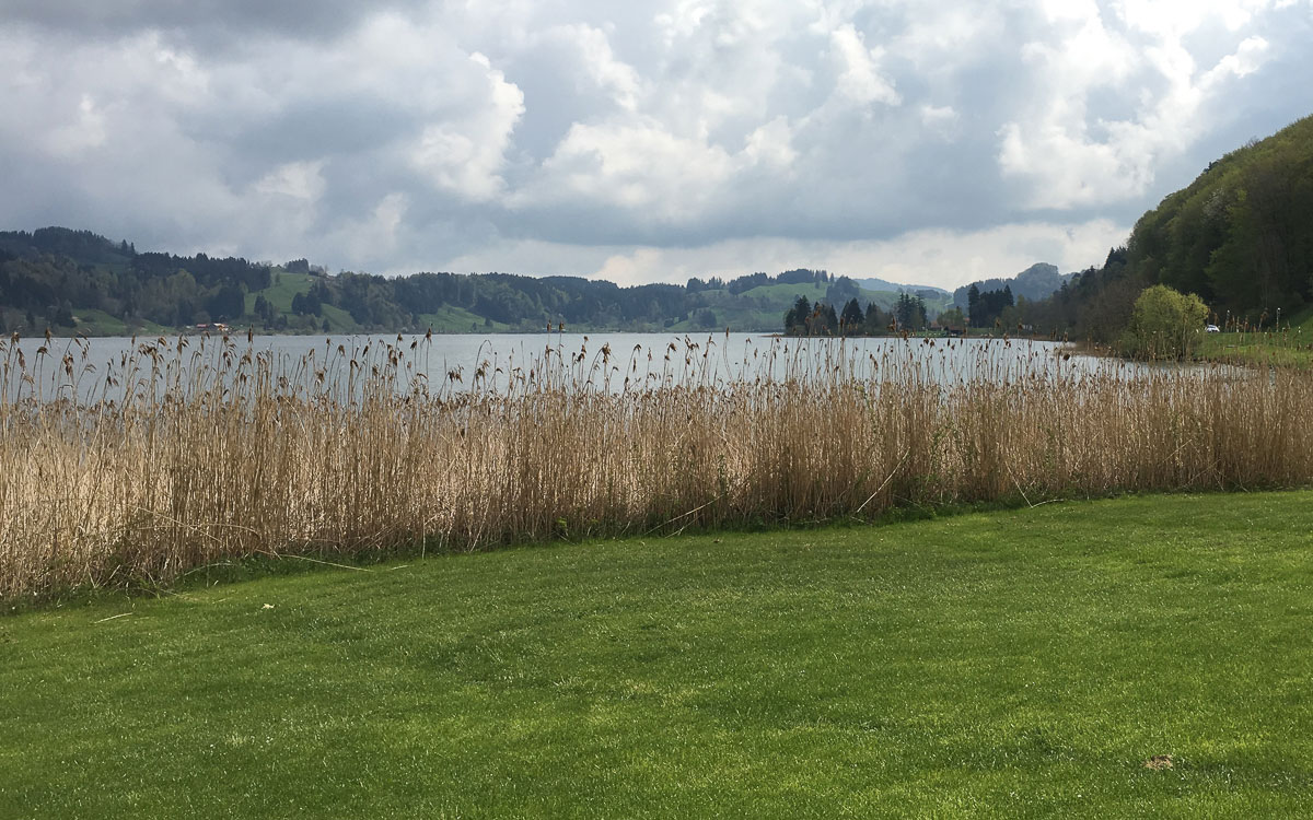 Allgäu Oberstaufen Alpsee