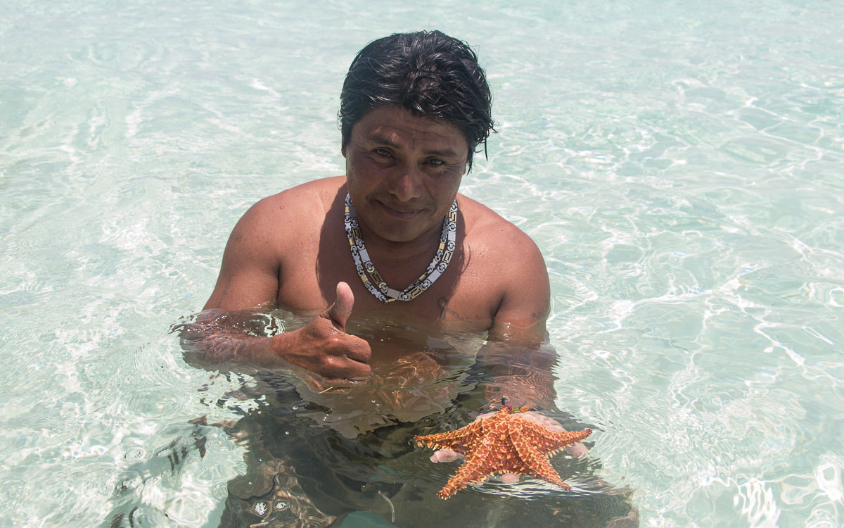 San Blas Inseln Guna Yala Seestern