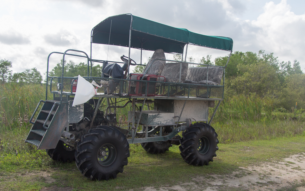 Everglades Nationalpark Swamp Buggy Tour