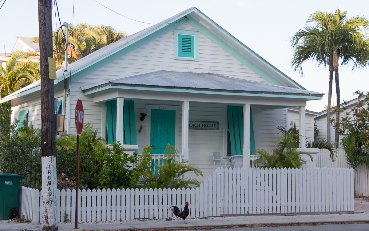 Holzhaus Key West mit Hahn