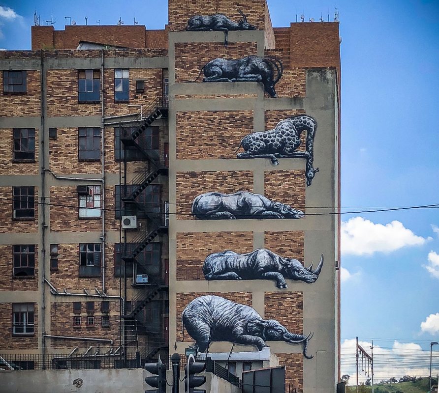 ROA Street Art Johannesburg Südafrika Sehenswürdigkeiten
