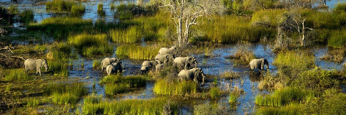 Botswana Reisetipps Planung Vor Der Reise Als Selbstfahrer