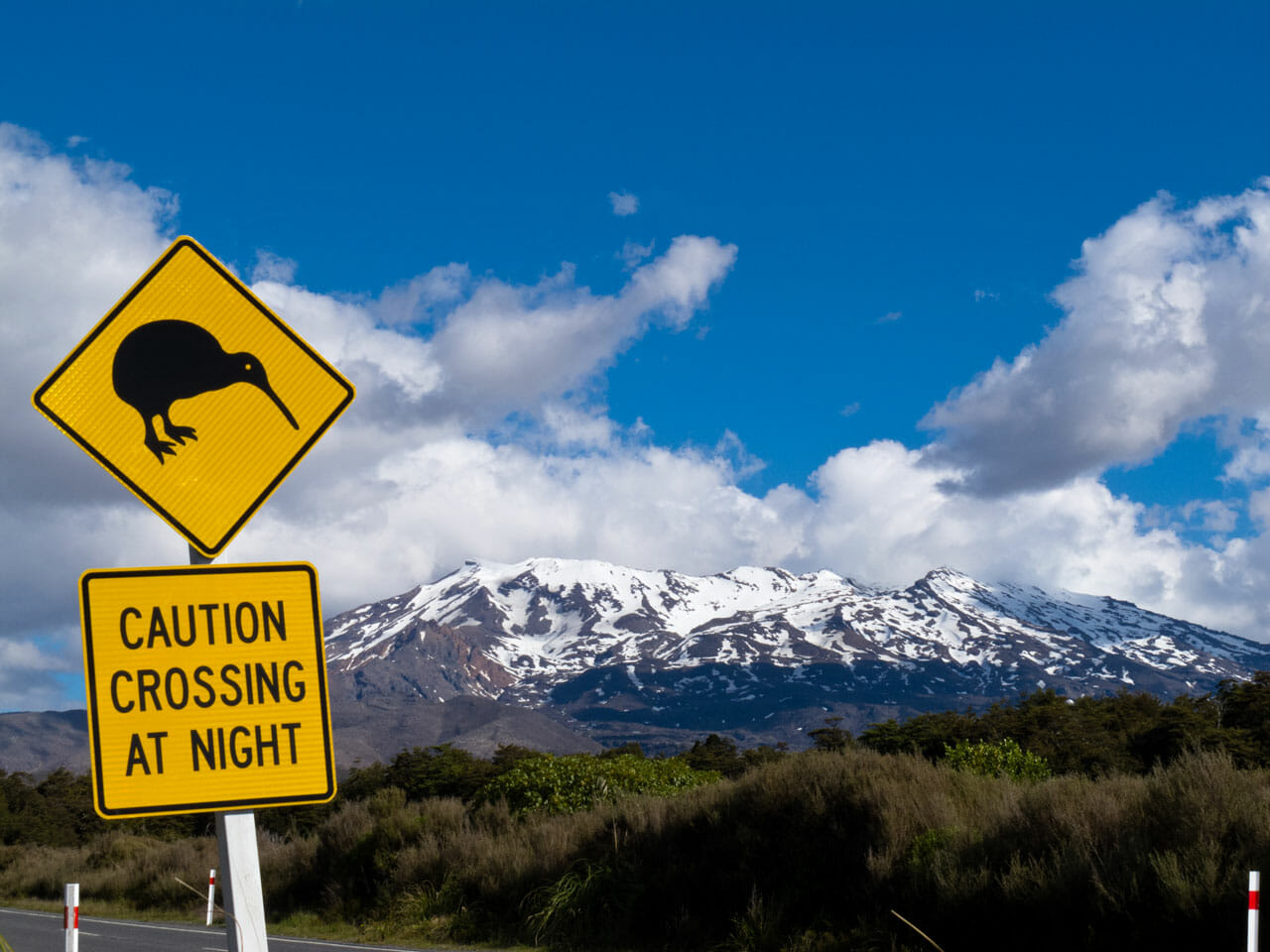 Neuseeland Tipps: Kiwi crossing! Schild am Mount Ruapehu