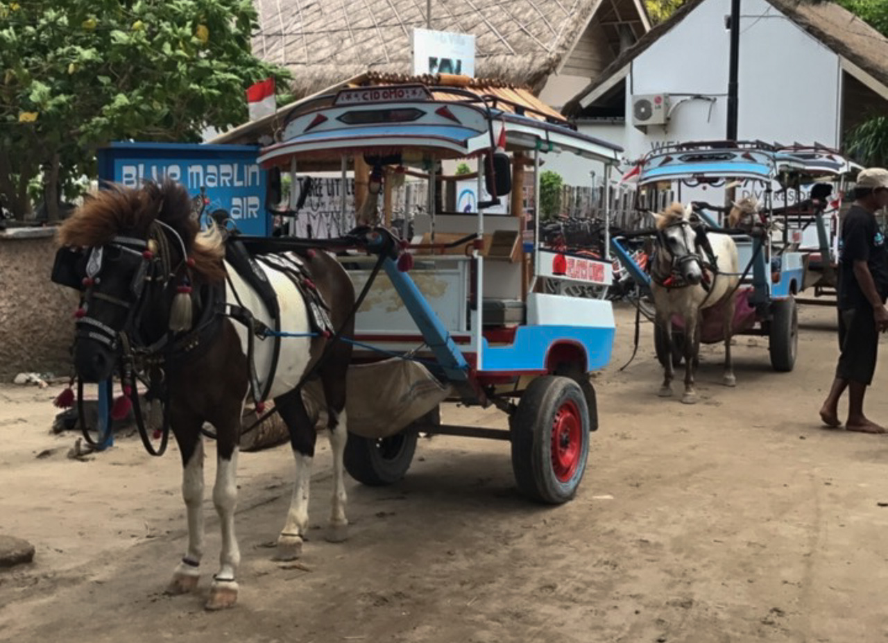 Transportmittel auf den Gilis sind immernoch Pferdekutschen