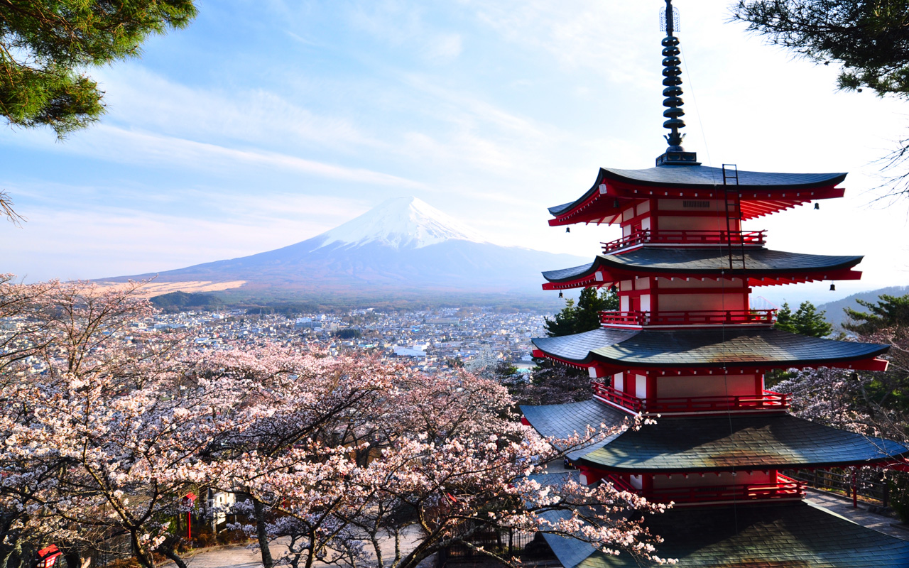 urlaub-im-maerz-kirschbluete-japan
