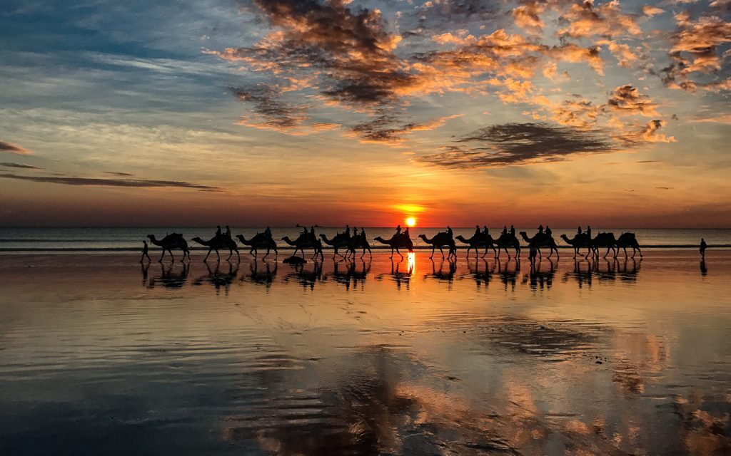Australien Sehenswürdigkeiten: Meine persönlichen Highlights & schönsten Orte 41 Cable Beach Sonnenuntergang Kamel Broome
