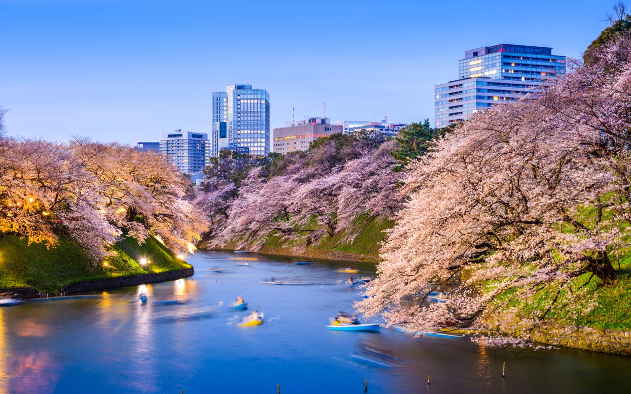 Reisetipps Urlaub im April Tokio