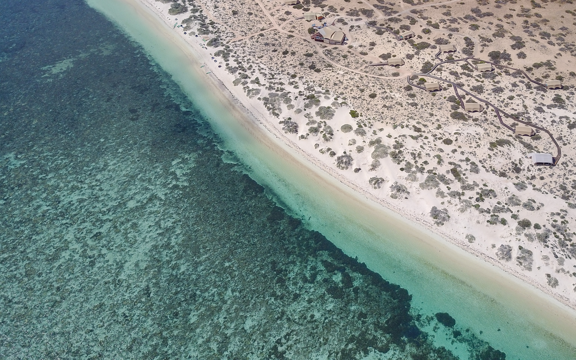 Ningaloo Reef Sal Salis Glamping
