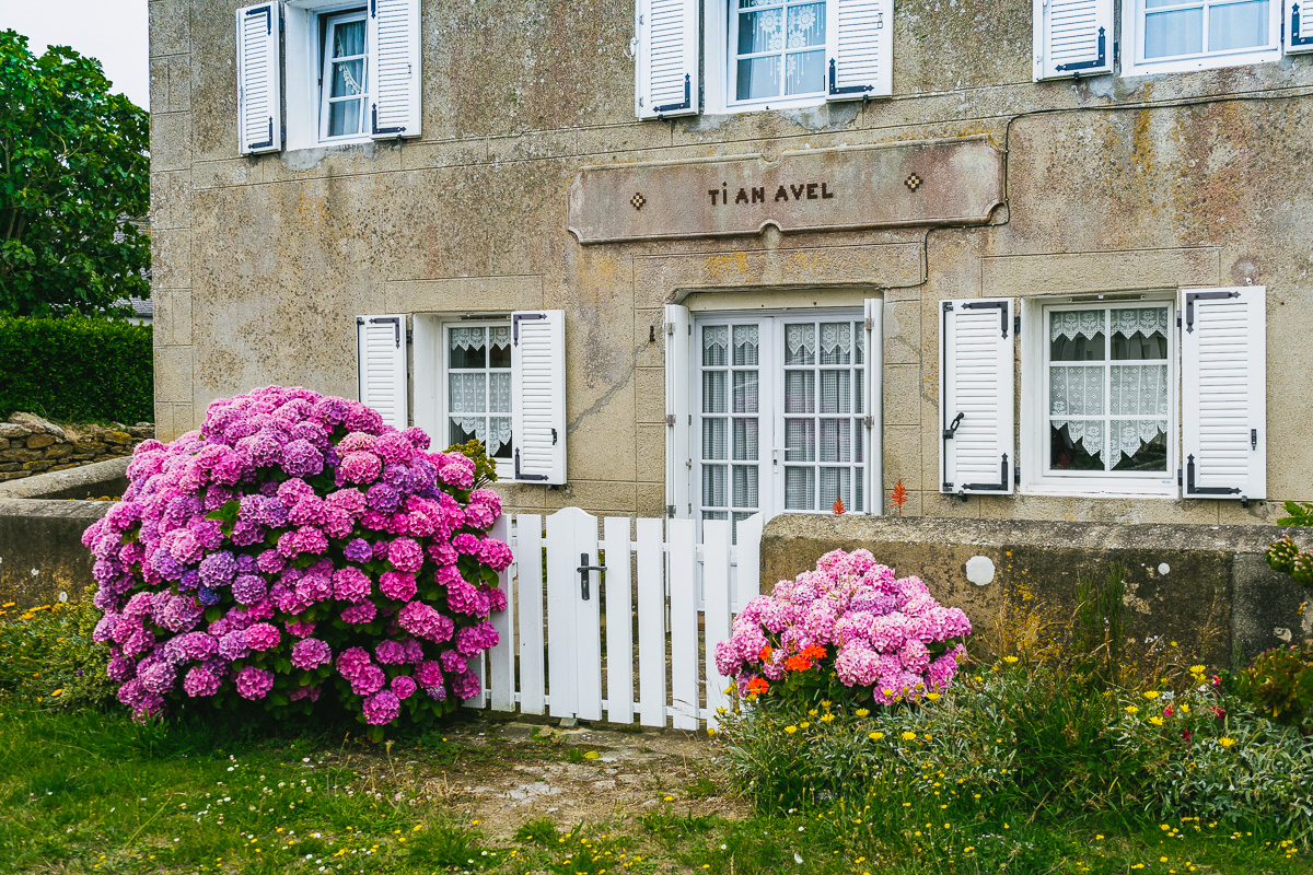 Bretagne-Steinhaeuser-Blumen