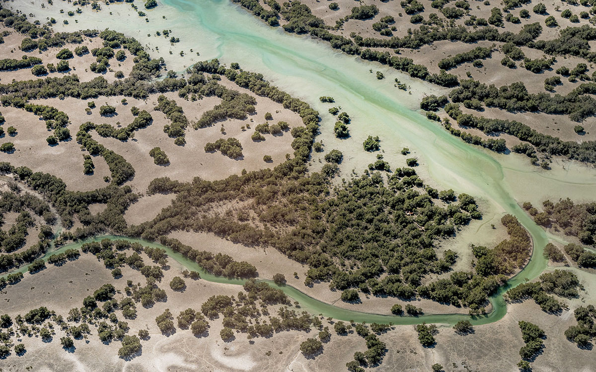 Mangroven Abu Dhabi Rundflug