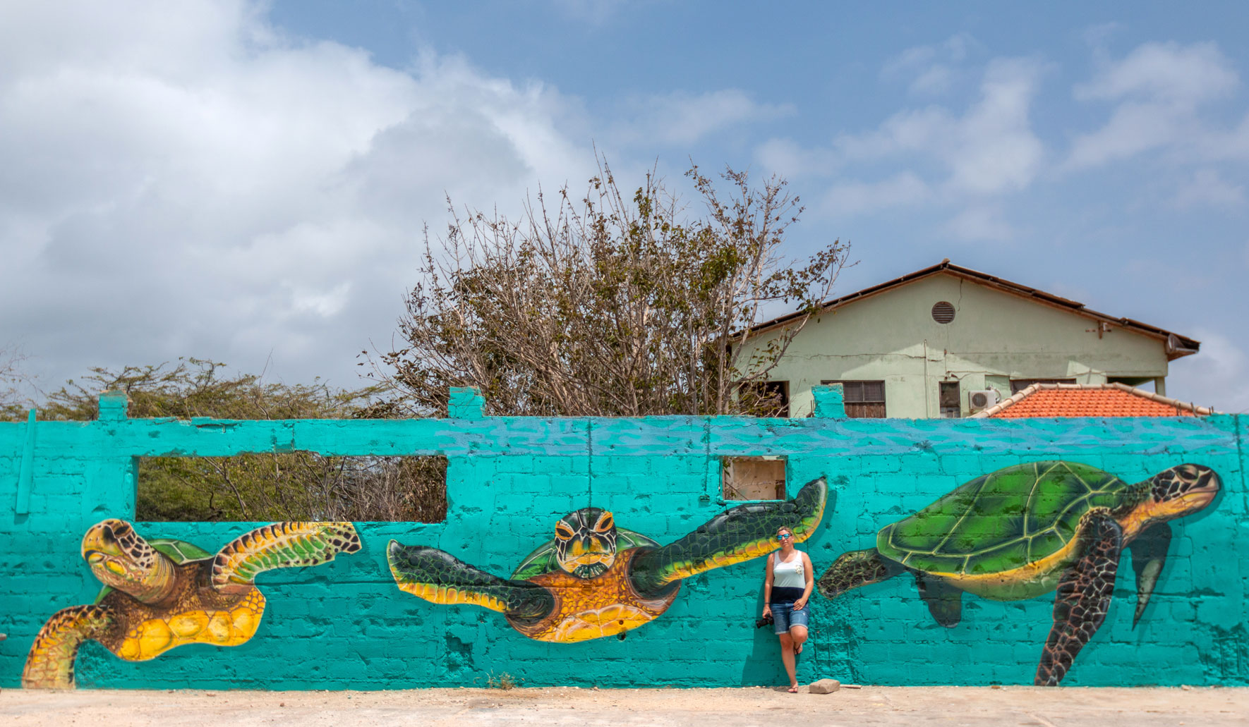 "Save the Turtles" Ice One | Street Art San Nicolas