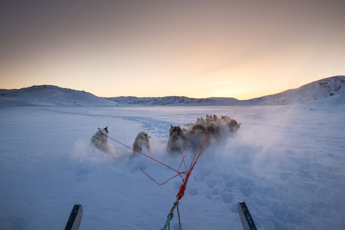 Hundeschlitten-Tour in Grönland