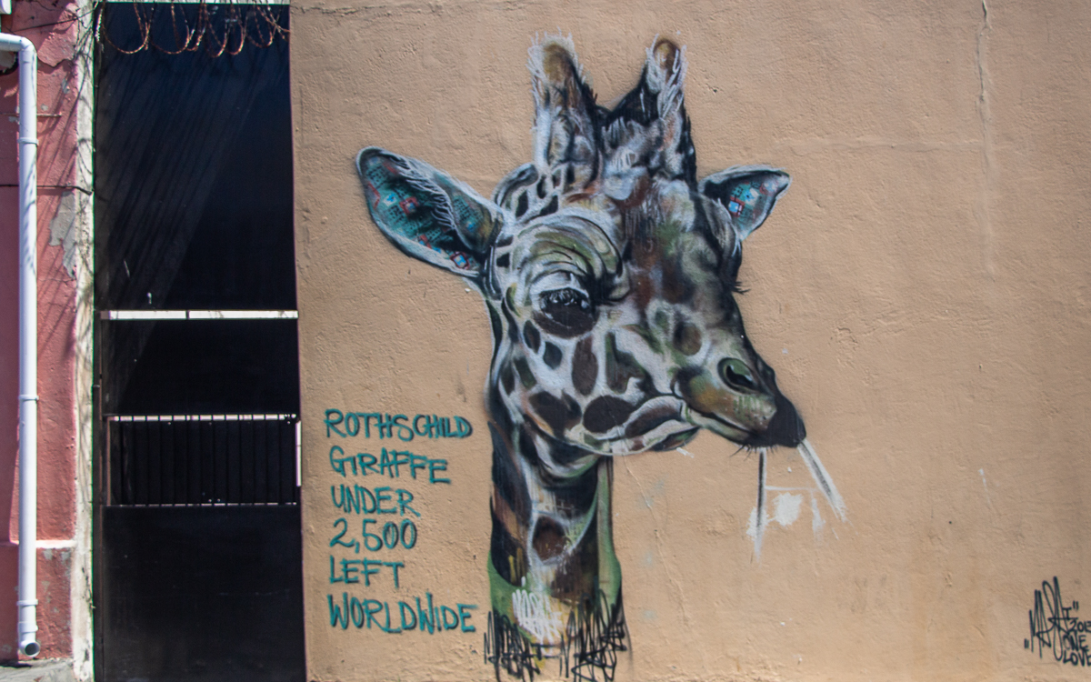 Street Art Woodstock Kaapstad