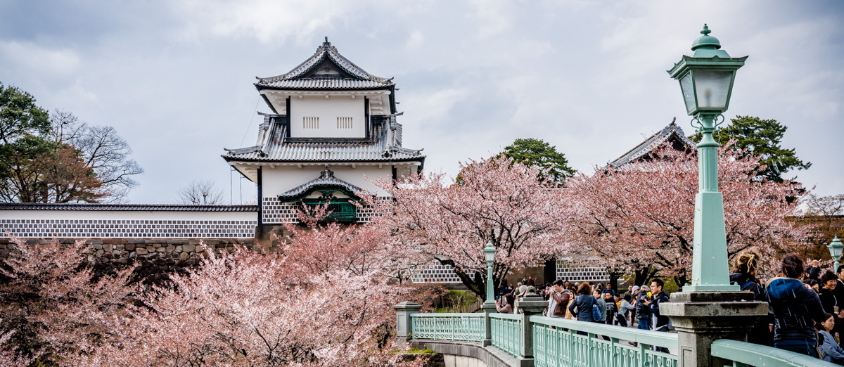 Kanazawa Burg Kirschblüte Japan
