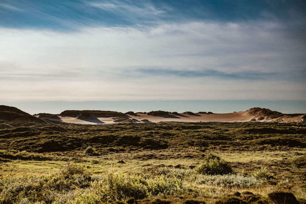 List auf Sylt: Sehenswerte Orte mit Tipps zum Essen Gehen und Aktivitäten 37 Jensmettenberg auf Wanderdüne bei List