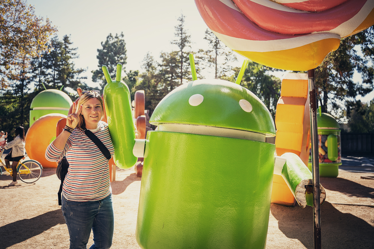 Google Android Lawn Statues