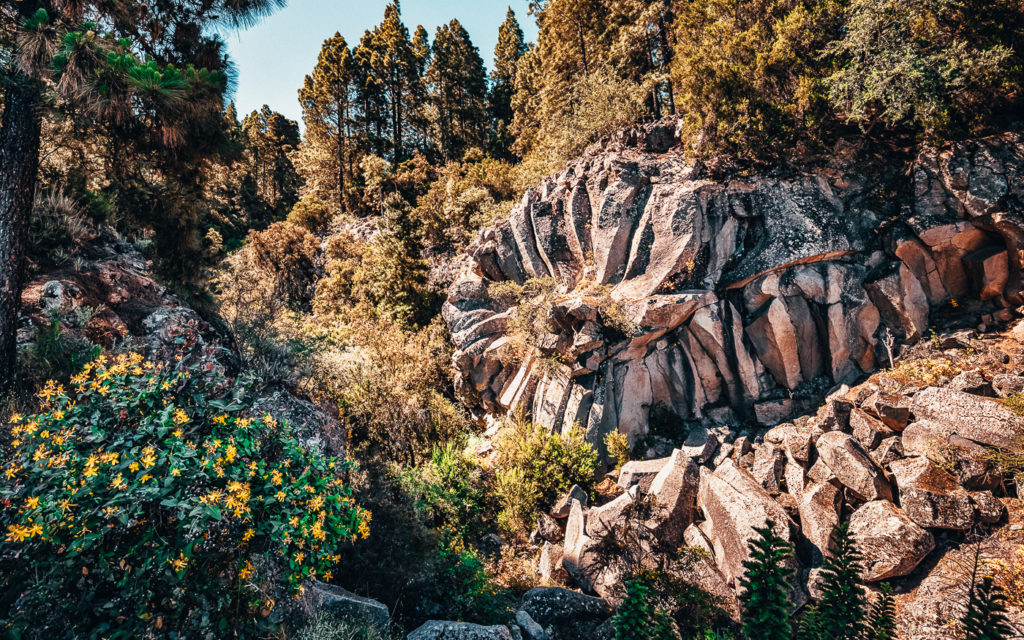 Piedra de la Rosa Teneriffa Sehenswürdigkeiten Teide