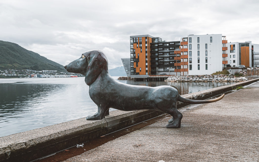 Dackelstatue Tromsø