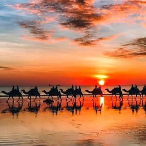 Westküste Australien Reisebericht Perth - Broome
