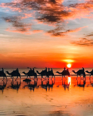 Westküste Australien Reisebericht Perth - Broome