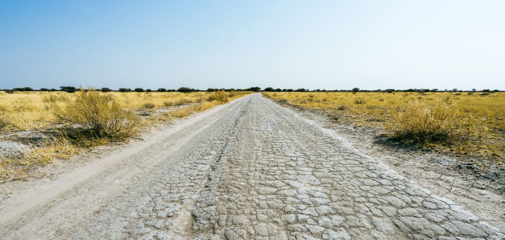 Botswana Autofahren: Tipps & Erfahrung