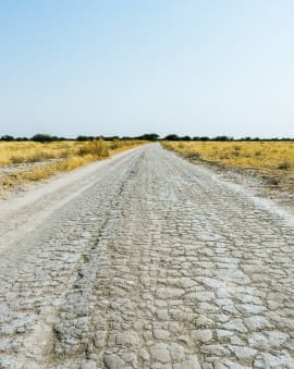 Botswana Autofahren: Tipps & Erfahrung