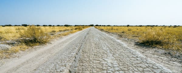 Botswana Autofahren: Tipps & Erfahrung