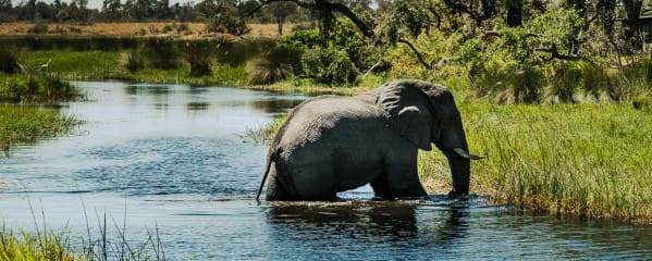 Botswana Reisetipps