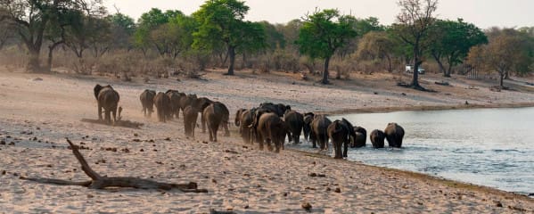 caprivi-namibia-bwabata-nationalpark