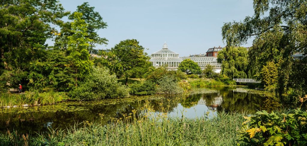 Geheimtipps Kopenhagen Botanischer Garten