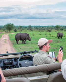 Krüger Nationalpark Südafrika Erfahrung Tipps