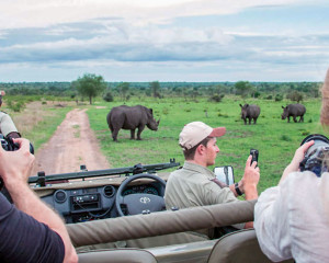 Krüger Nationalpark Südafrika Erfahrung Tipps
