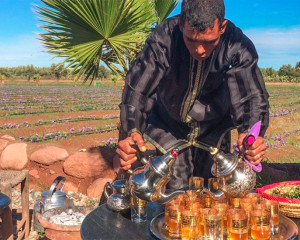 Marokko Urlaub Reisetipps & Erfahrung