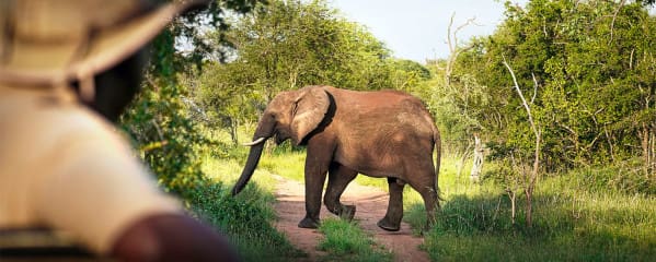 Ranger-Ausbildung in Südafrika mit EcoTraining