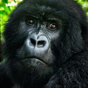 Ruanda Blog: Reiseberichte mit Tipps & Erfahrungen