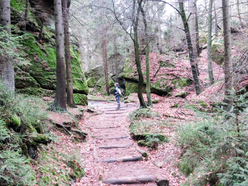 Wandern zu den Schrammsteinen in der Sächsische Schweiz